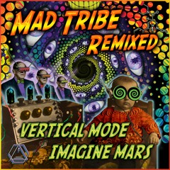 Mad Tribe - The LSD Party (Vertical Mode Remix) (Sample)