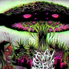 Neocortex: x the Chef _Bloom_Production by droppo