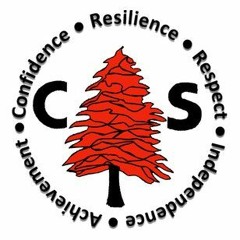 Cedarbank School - Perfect World