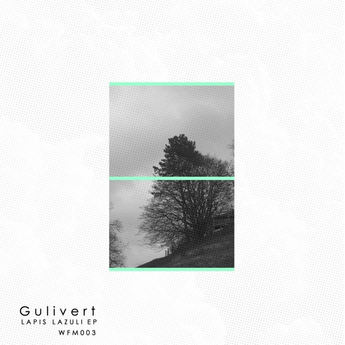 PREMIERE | WFM | 003 | Gulivert | Lapis Lazuli | Original Mix