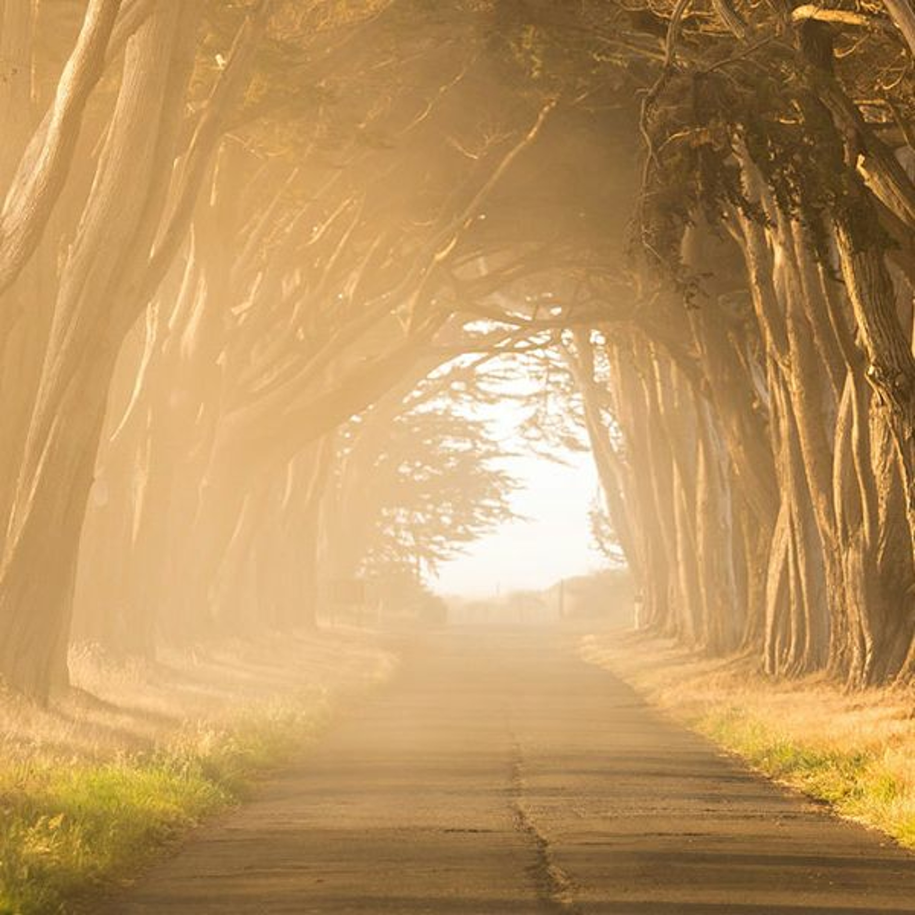 Is the Path to Eternal Life “Strait” or “Straight"? #456