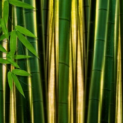 Bamboo MIX1 & 2