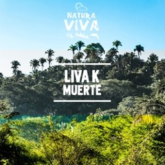 Liva K - La Melodia (Original Mix) // Νo6 on Traxsource top100