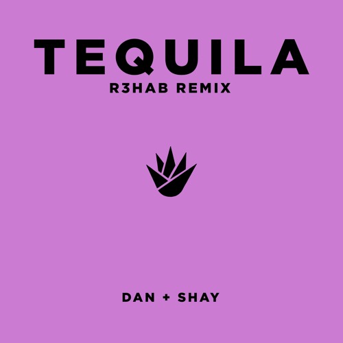 Dan & Shay - Tequila (R3HAB Remix)