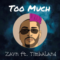 Too Much - Zayn ft. Timbaland | Cover