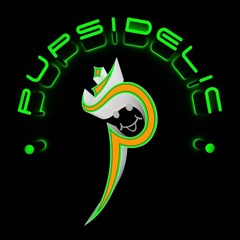 Pupsidelic - Space Cat