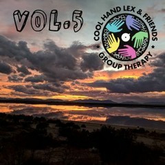 CHL & FRIENDS VOL 5 MINI MIX