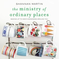 THE MINISTRY OF ORDINARY PLACES by Shannon Martin