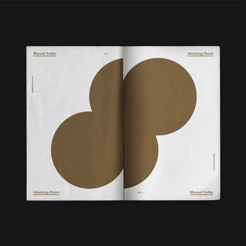 Manuel Troller - Hologram