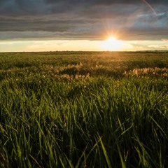 Track 3 - Light up my mind (original song)