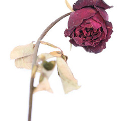 You're Gonna Love Me