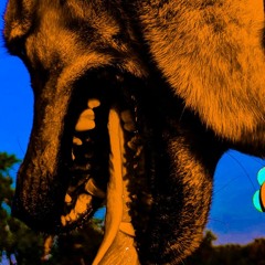 Check [prod. Jouce Money]