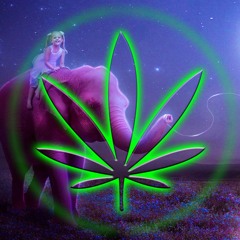 Marijuana Activation Frequency 30Hz Spirit Psy Trip Slow Trance Rain Journey Meditation Music