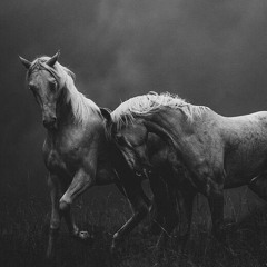 solmaz naraghi ' saghi meykharan