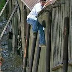 Mi Frontera - Rec (Dog Food Produce)