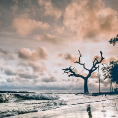 Vibes Forever | Free Hip Hop Instrumental