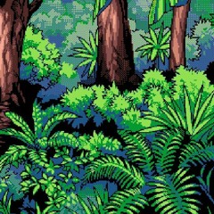 Wild Island