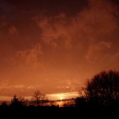 david - don't take me away (looped)