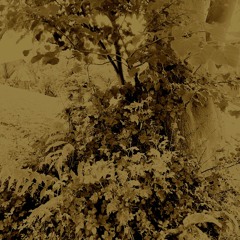 『世界が終わる夜に』。(チャットモンチー) 20180808sonicMix2