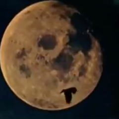 I Dont Wanna Lose You