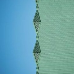 copo - spider (org mix)