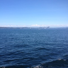 my niece the mermaid