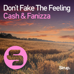 Cash & Fanizza - Don't Fake the Feeling