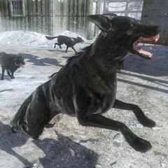 FLIX-PERISH [JQNTYVIP](CLIP)