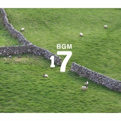 Muji BGM 17 (Ireland)