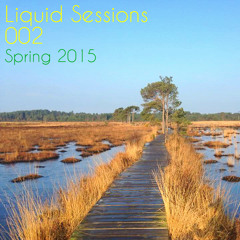 Liquid Sessions 002 - Spring 2015