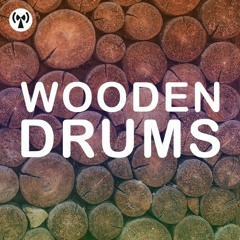 Noiiz - Wooden Drums Demo
