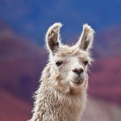 Me Llama Lama