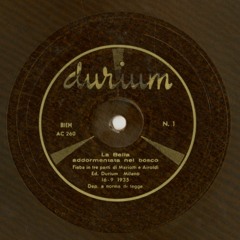 La Bella addormentata nel bosco