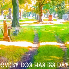 Every Dog Has its Day (ASAP ROCKY/TylerTheCreator Type Beat) Prod. Amish