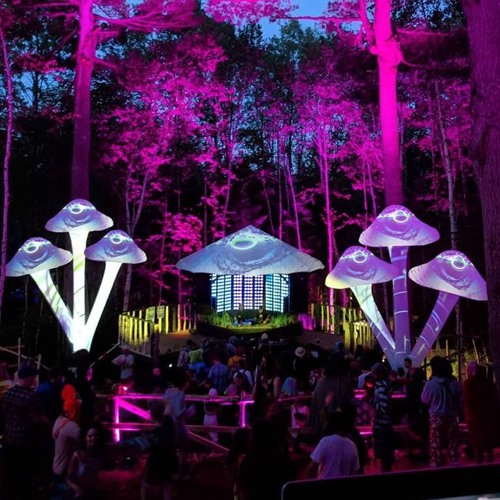 Mushroom Stage Sunday Footworkin