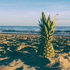 Pineapple Tree - prod. yluuna