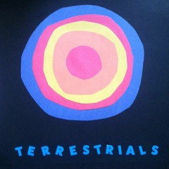 Terrestrials - "Aman Düde"