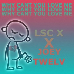WHY CANT YOU LOVE ME (feat. JOEY TWELV)