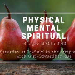 Physical Mental Spiritual - Giri Govardhana Das