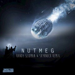 Infected Mushroom - Nutmeg (Randy Seidman & Skyknock Remix)