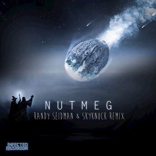 Infected Mushroom - Nutmeg (Randy Seidman & Skyknock Remix)