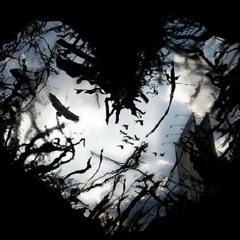 LIE or LOVE