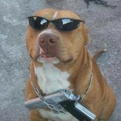 MC PQD - OS PITBULL DO PIRANHA ((( DJs DO PIRANHA ))).mp3