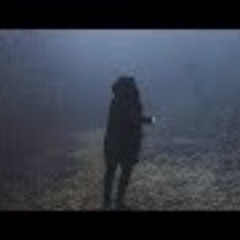 Alan Walker - Traveler