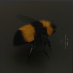 97 - Kojey Radical (MEI Cover)