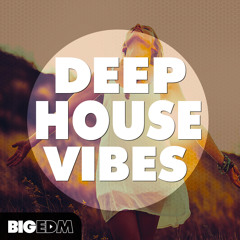 Deep House Vibes | 290+ Drums, Melodies, Presets & More!
