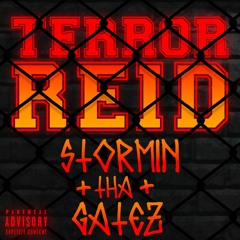 TERROR REID  - STORMIN THA GATEZ