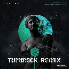Defunk - Can't Buy Me (Turtlneck Remix)