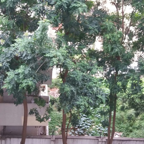 ZindagiTujhkoJiyaHai_ChitraSingh
