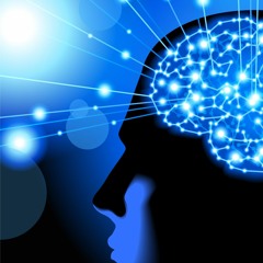 16 Minute Headcleaner